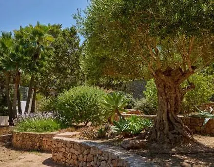 Cala Vadella Villa San José 0*,  Spanje