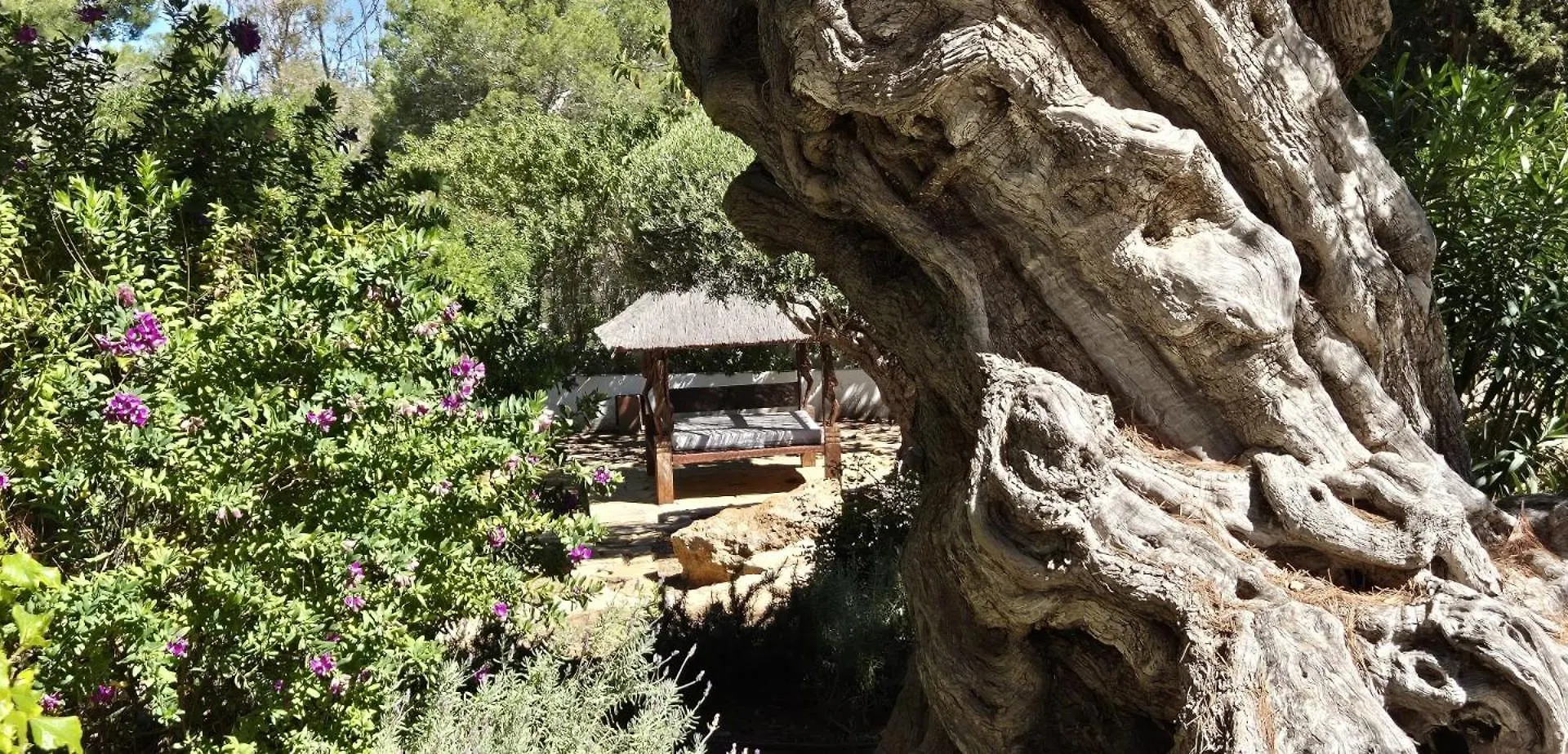 فيلا Cala Vadella San José